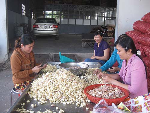 Người lao động cần biết về chính sách bảo hiểm thất nghiệp - Ảnh 1.