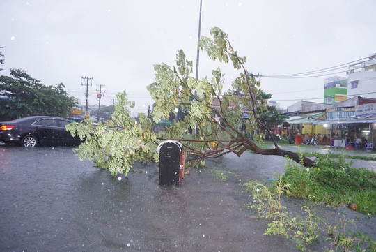 Ảnh hưởng bão số 9: TP HCM mưa lớn, cây gãy đổ đè chết người đi đường - Ảnh 6.