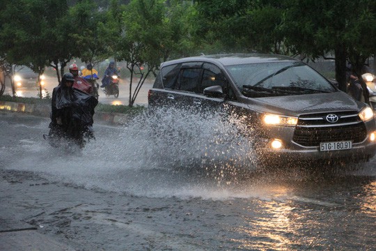 Ảnh hưởng bão số 9: TP HCM mưa lớn, cây gãy đổ đè chết người đi đường - Ảnh 7.