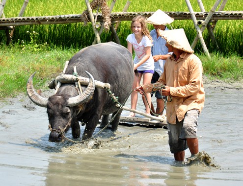 Du lịch Việt Nam nhìn từ vụ chia đôi đoàn 4.000 khách - Ảnh 2.