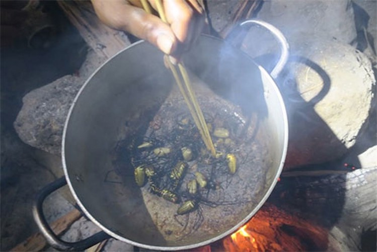 Rùng mình món nhện rừng đặc sản ở Bình Thuận - Ảnh 4.