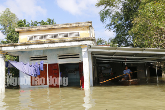 Nắng lên, Tam Kỳ vẫn chìm trong nước, người chết ở Quảng Nam tăng - Ảnh 3.