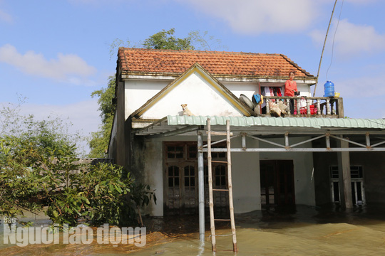 Nước chưa rút hết, người dân Quảng Nam hoang mang vì hồ Phú Ninh xả lũ - Ảnh 1.