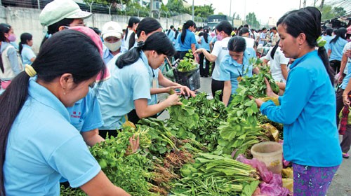 Thanh Hóa: Bảo đảm an toàn chất lượng bữa ăn cho NLĐ - Ảnh 1.