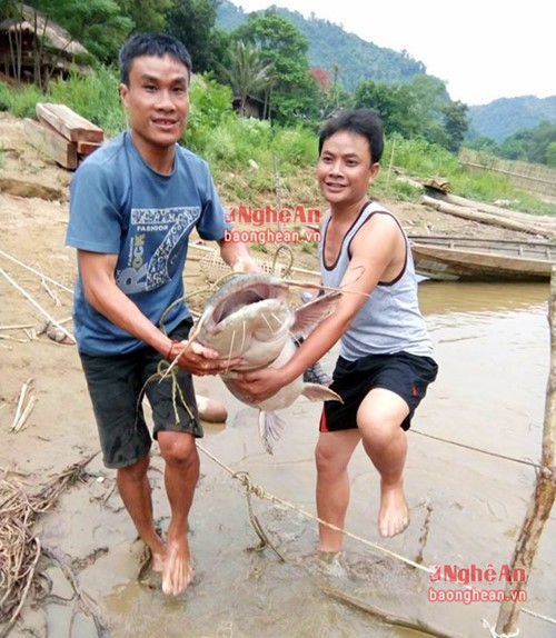 Bí ẩn miền Tây xứ Nghệ: Loài cá nặng hàng yến, dài cả mét - Ảnh 24.