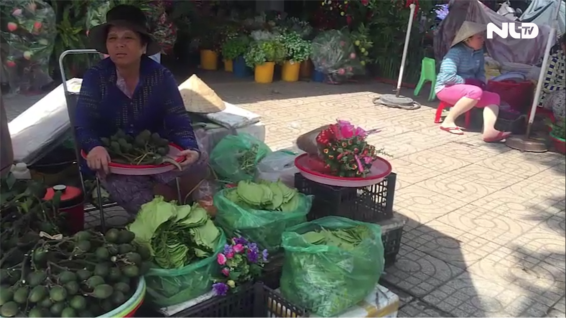 Ghi nhanh: Con đường trầu cau giữa lòng TP HCM
