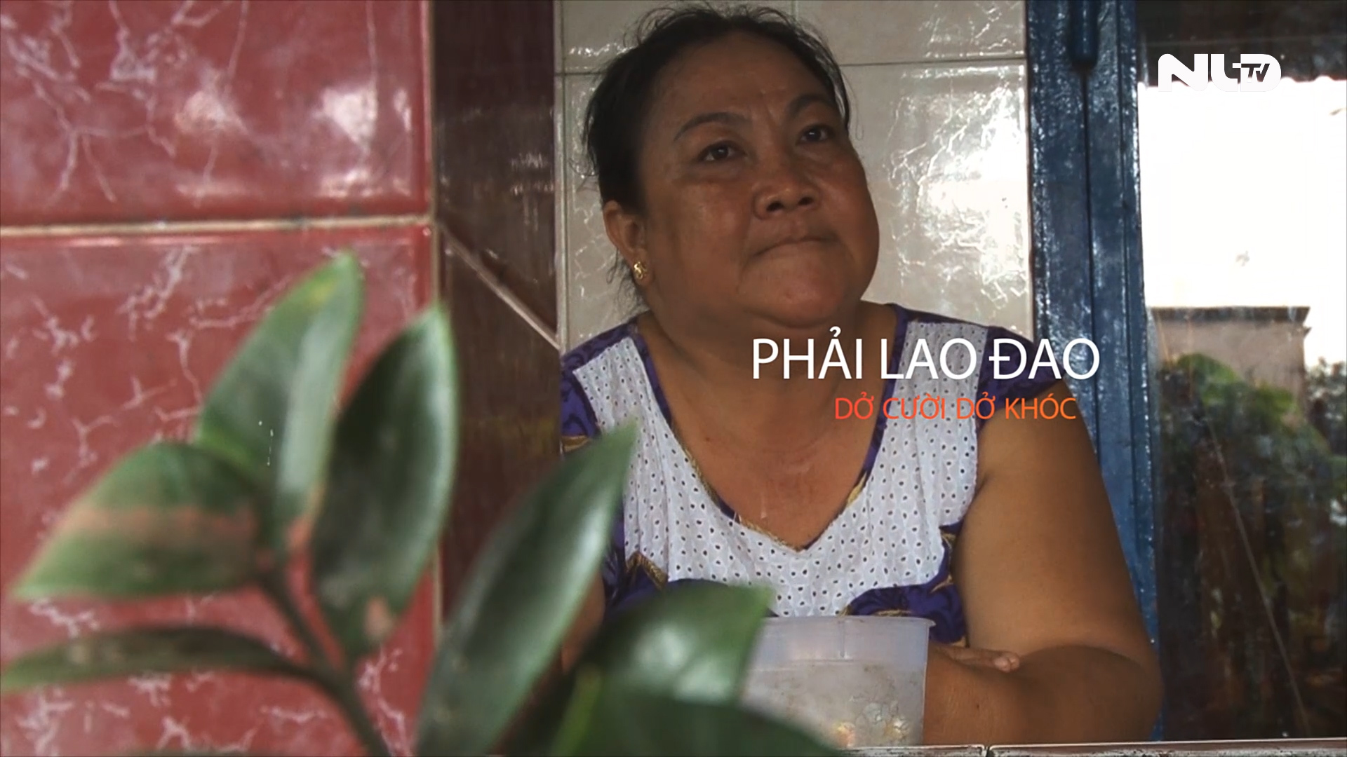 Kỳ 1- Điều Tra: Tiếng kêu cứu của lao động Việt đi Nhật Bản bị lừa đảo