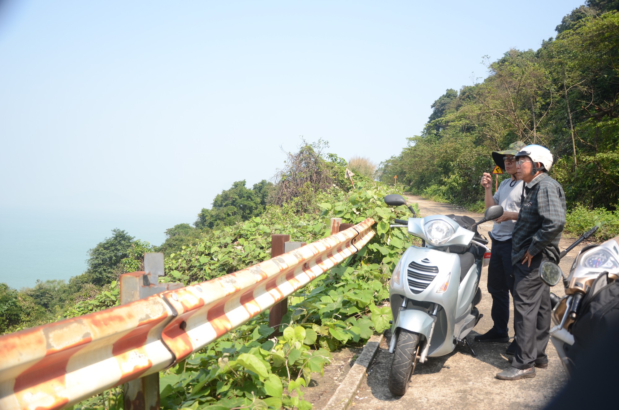 Ngắm nữ hoàng linh trưởng trên bán đảo Sơn Trà - Ảnh 3.