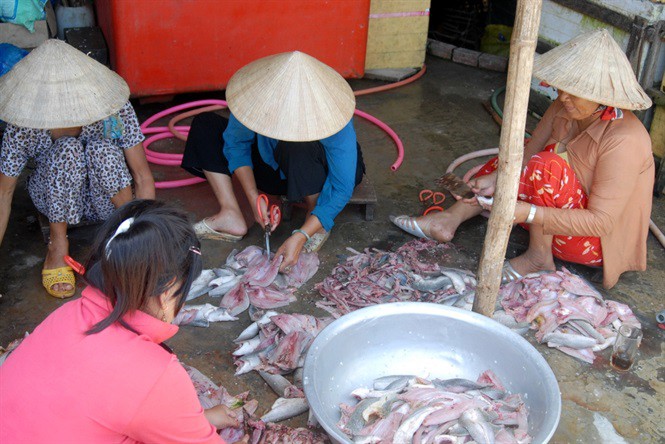 Sướng mắt với cảnh tát đìa mỏi tay bắt cá ăn Tết - Ảnh 15.