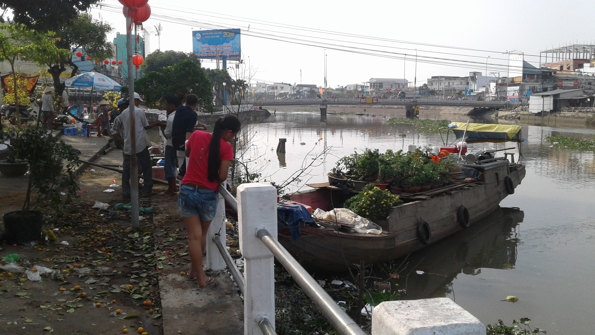 Người bán hoa kiểng ở miền Tây thà chở về chứ không bán rẻ như cho - Ảnh 16.