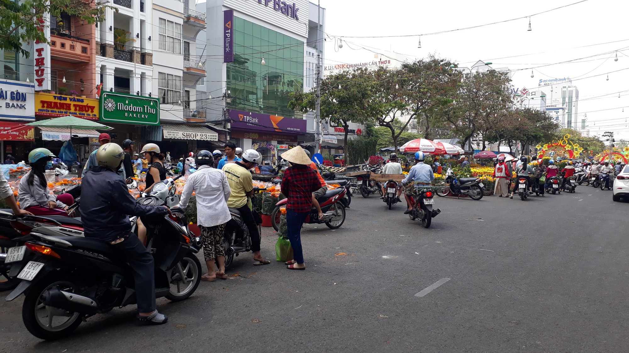 Người bán hoa kiểng ở miền Tây thà chở về chứ không bán rẻ như cho - Ảnh 10.