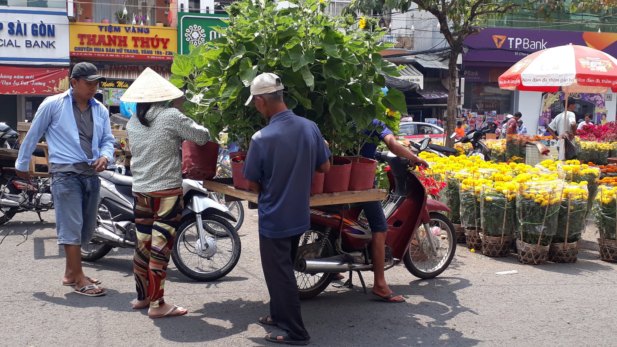 Người bán hoa kiểng ở miền Tây thà chở về chứ không bán rẻ như cho - Ảnh 14.