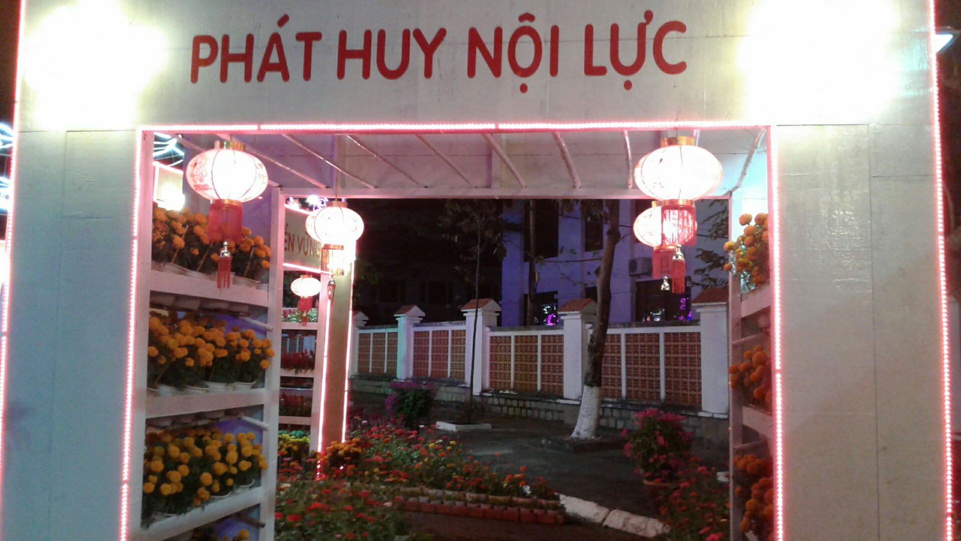 Ngắm đường hoa Xuân “hải sản” đặc sắc ở Côn Đảo - Ảnh 18.