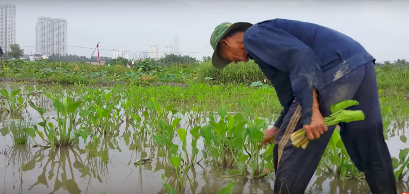 Khu dân dã kỳ lạ ở Sài Gòn - Ảnh 2.