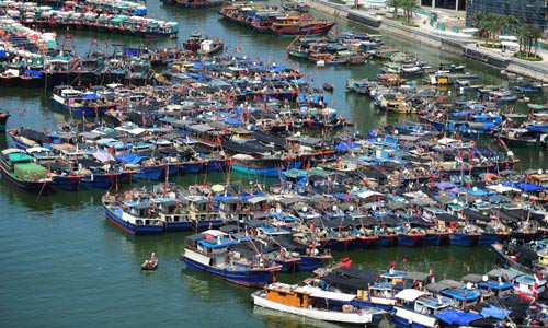 Tàu cá Trung Quốc lộng hành (*): Lật mặt nạ dân quân biển - Ảnh 1.