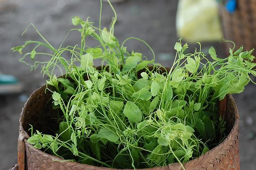 Mê mẩn những loại rau ngon, độc, lạ ở Hà Giang - Ảnh 4.