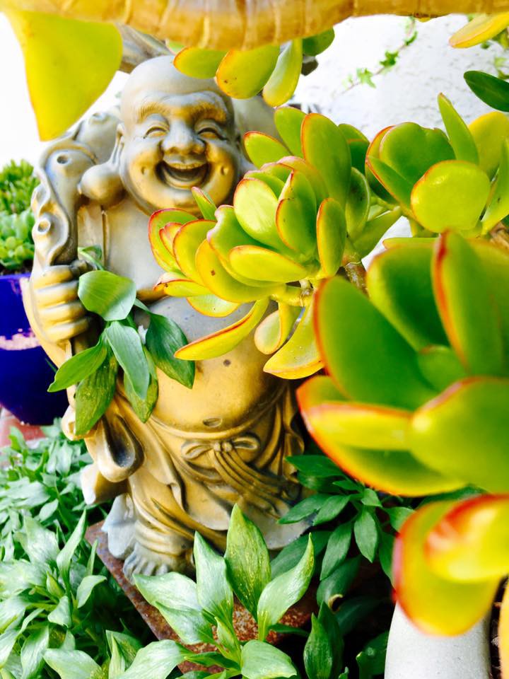 Chốn đi về ngập tràn cây xanh của diễn viên hài Thúy Nga - Ảnh 12. Chốn đi về ngập tràn cây xanh của diễn viên hài Thúy Nga - Ảnh 12.