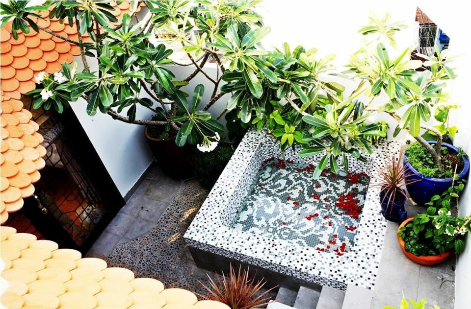 Chốn đi về ngập tràn cây xanh của diễn viên hài Thúy Nga - Ảnh 6. Chốn đi về ngập tràn cây xanh của diễn viên hài Thúy Nga - Ảnh 6.