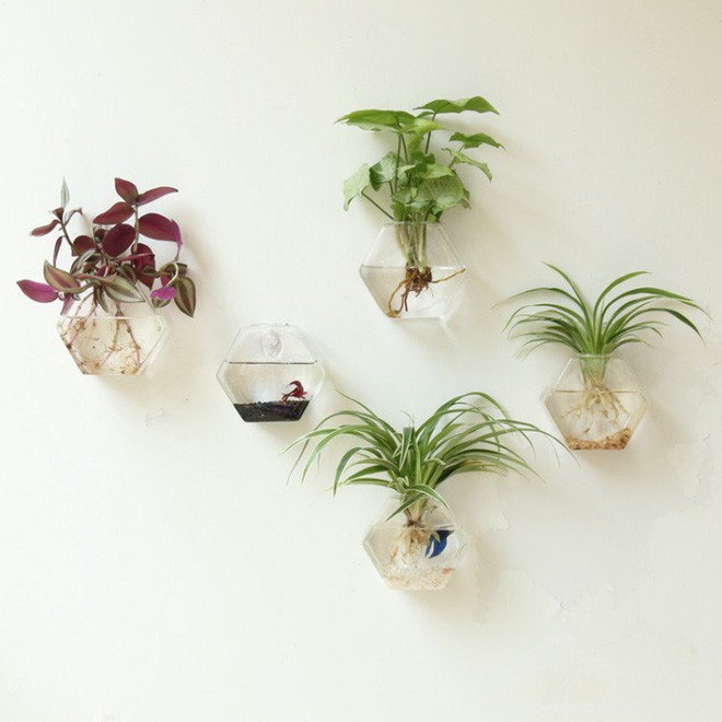 Những bộ sưu tập lọ hoa đẹp đến ngẩn ngơ - Ảnh 1. Những bộ sưu tập lọ hoa đẹp đến ngẩn ngơ - Ảnh 1.
