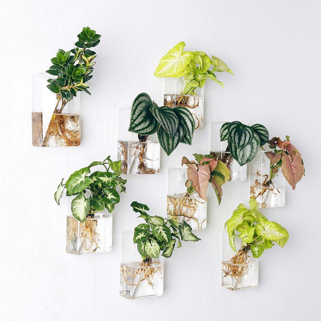 Những bộ sưu tập lọ hoa đẹp đến ngẩn ngơ - Ảnh 6. Những bộ sưu tập lọ hoa đẹp đến ngẩn ngơ - Ảnh 6.
