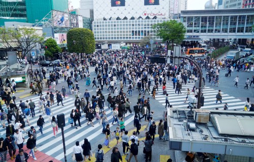 Các bước xin visa du lịch Nhật Bản cho người làm tự do - Ảnh 2.