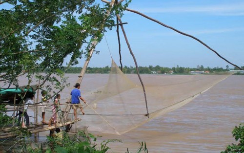 Cất vó trên sông mùa nước đục - Ảnh 3.