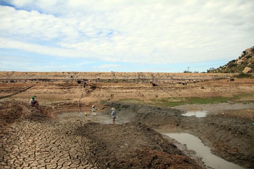 Ninh Thuận khô khốc - Ảnh 1.