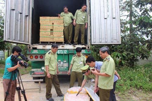 Gần 5 tấn nầm lợn bốc mùi suýt lên bàn nhậu - Ảnh 1.