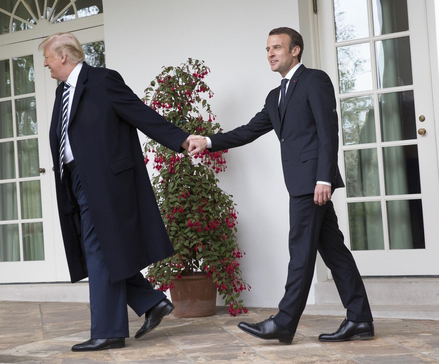 Tổng thống Pháp-Mỹ: Hôn má, siết tay, khen ngợi và phủi gàu - Ảnh 4.