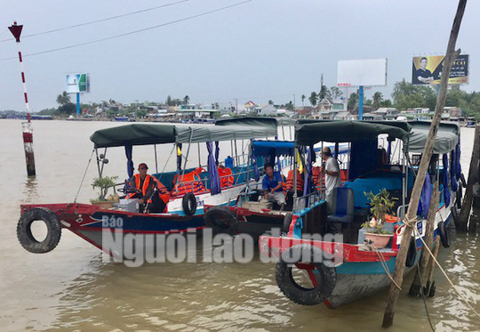 Cò tàu du lịch lộng hành tại Cần Thơ do không quản lý được - Ảnh 1.