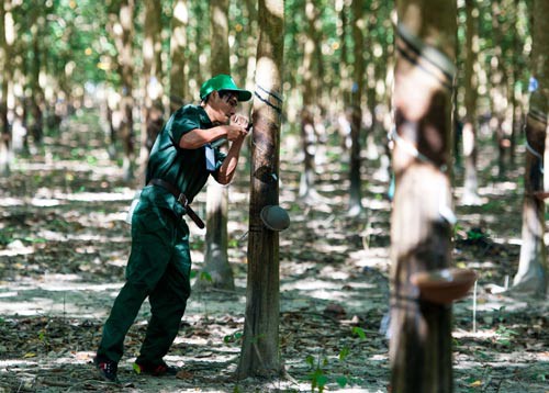 Khen thưởng kịp thời những lao động xuất sắc - Ảnh 1.