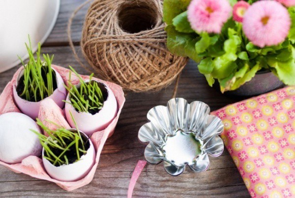 Ý tưởng độc đáo: Trồng cây trong vỏ trứng - Ảnh 11. Ý tưởng độc đáo: Trồng cây trong vỏ trứng - Ảnh 11.