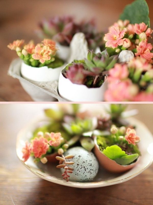 Ý tưởng độc đáo: Trồng cây trong vỏ trứng - Ảnh 4. Ý tưởng độc đáo: Trồng cây trong vỏ trứng - Ảnh 4.