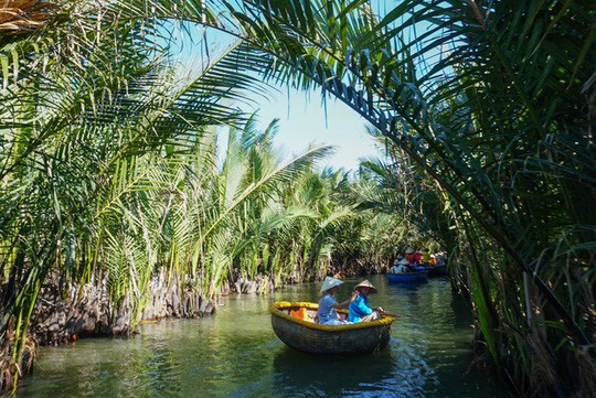 Khu rừng dừa như miền Tây sông nước tại Hội An - Ảnh 5.
