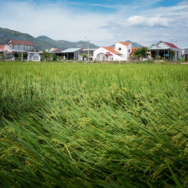 Ngôi nhà quê đẹp như tranh vẽ, ai nhìn thấy cũng phải mê - Ảnh 2. Ngôi nhà quê đẹp như tranh vẽ, ai nhìn thấy cũng phải mê - Ảnh 2.