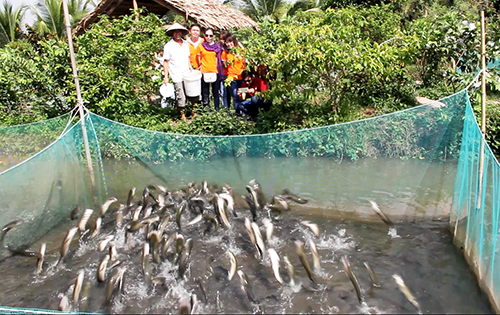 Du khách kéo ra cồn giữa sông Hậu xem cá lóc bay - Ảnh 3.