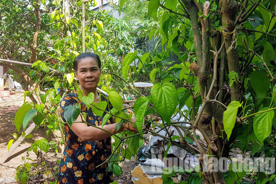 Kỳ lạ người phụ nữ không ăn cơm nhưng vẫn khỏe mạnh, tăng cân - Ảnh 3.