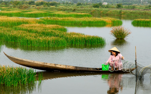 Năn bộp là món gì vậy ta? - Ảnh 1.