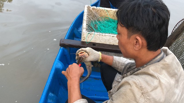 Săn cá ngát đêm ở Sài Gòn - Ảnh 14.