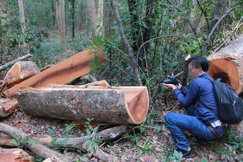 Xâu xé rừng Yók Đôn: Tấn công tứ phía - Ảnh 1.