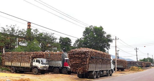 Phạt “khủng” nhà máy đường gây ô nhiễm môi trường - Ảnh 3.