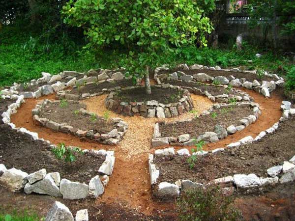 Sáng tạo này sẽ biến đất trống thành vườn rau đẹp - Ảnh 18. Sáng tạo này sẽ biến đất trống thành vườn rau đẹp - Ảnh 18.