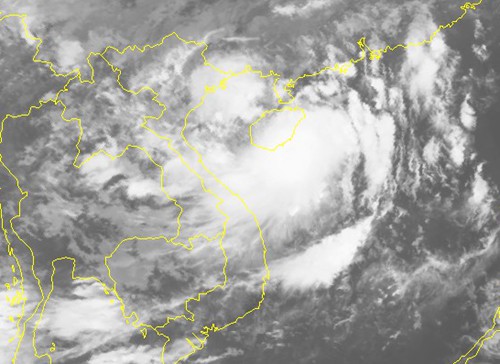 Áp thấp nhiệt đới đã mạnh thành bão số 2, giật cấp 10 - Ảnh 2.