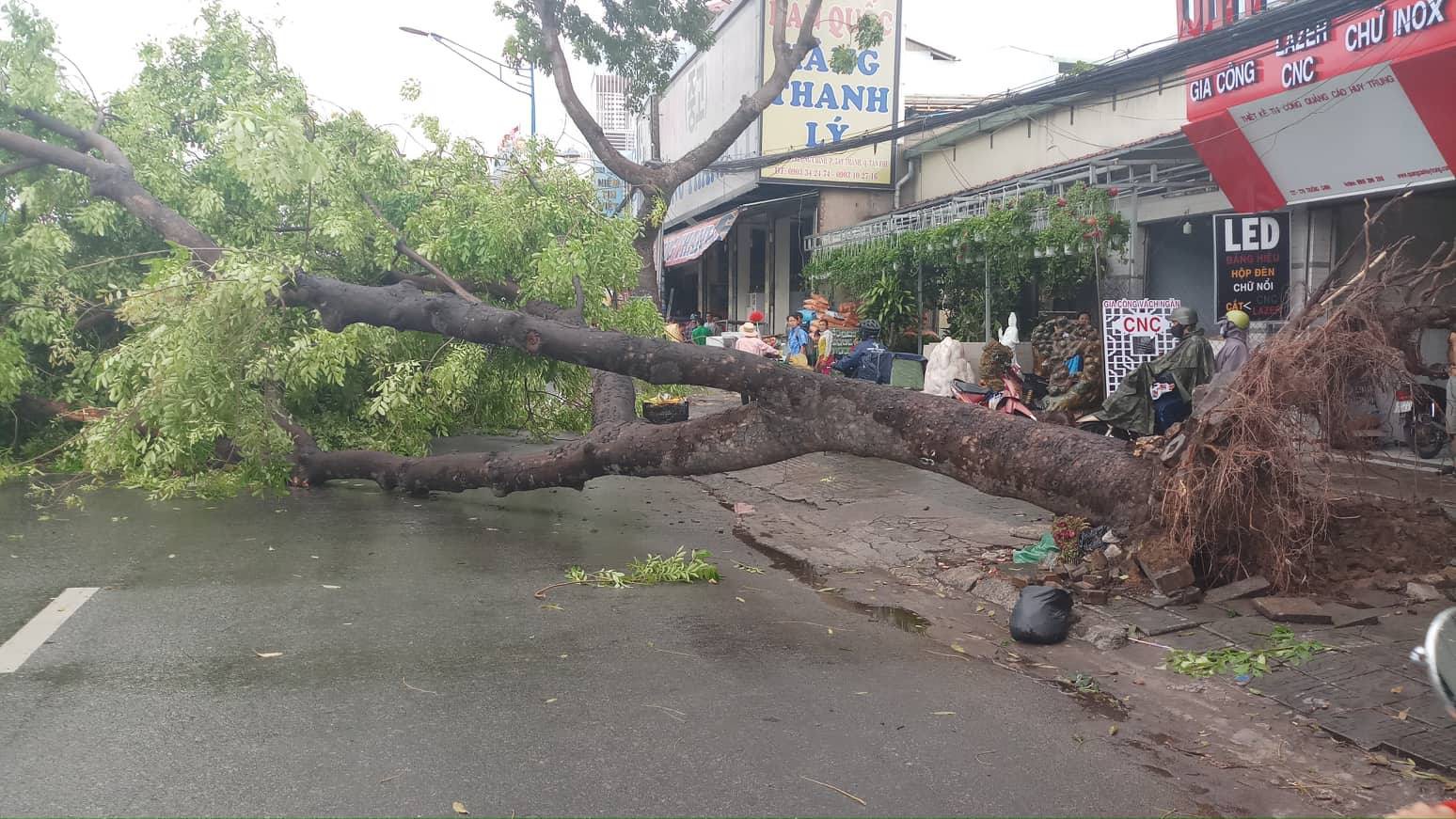 Lốc xoáy nhiều nơi ở Sài Gòn, cây xanh ngã rạp, 3 người trọng thương - Ảnh 13.