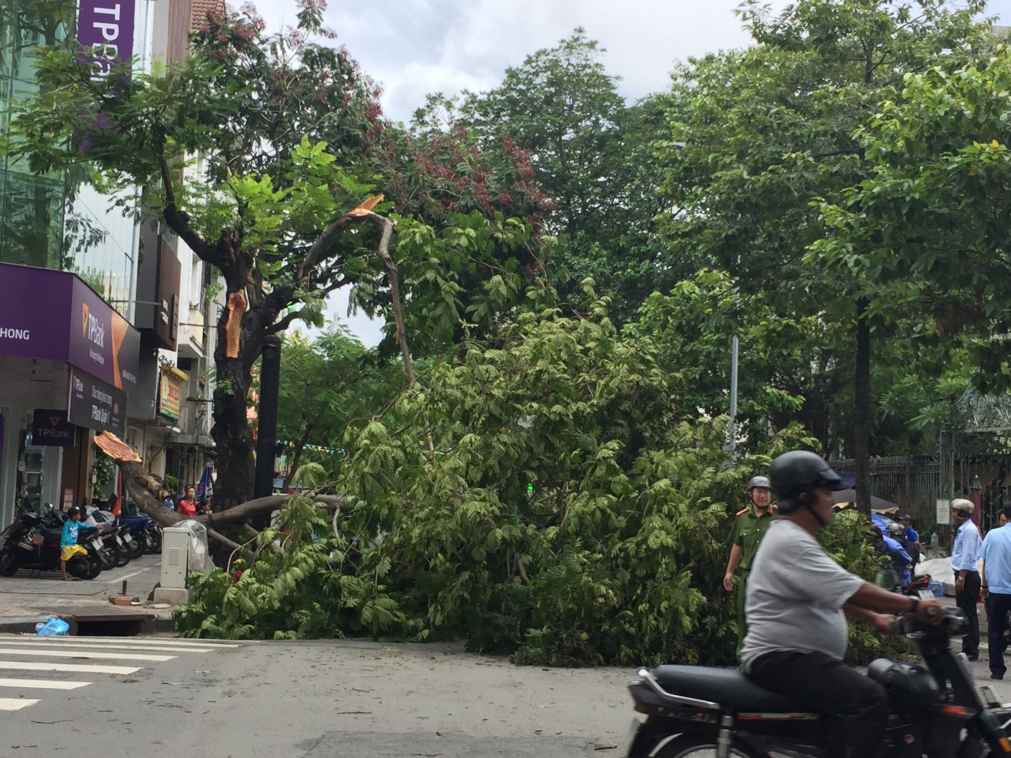 Lốc xoáy nhiều nơi ở Sài Gòn, cây xanh ngã rạp, 3 người trọng thương - Ảnh 17.