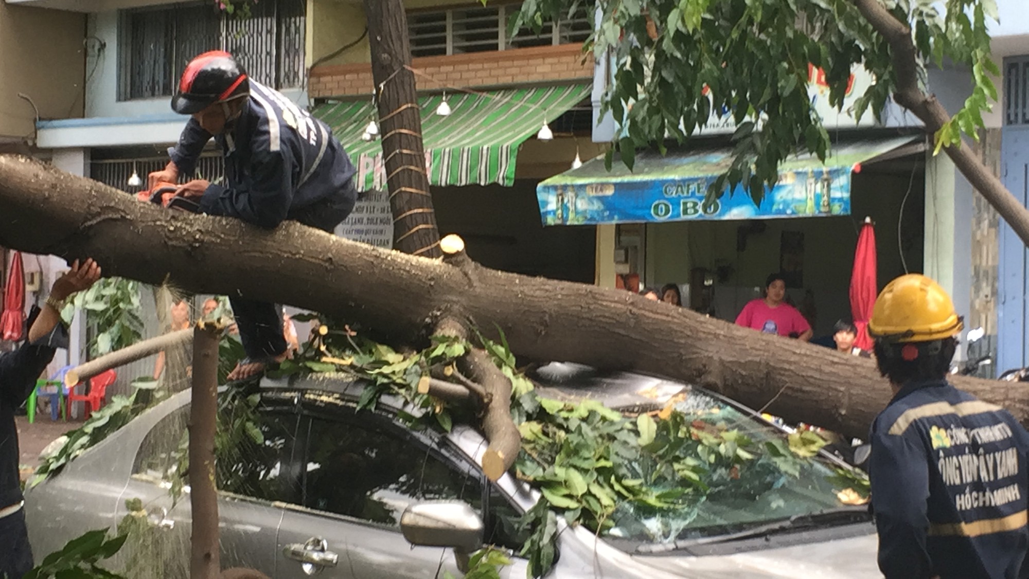 Lốc xoáy nhiều nơi ở Sài Gòn, cây xanh ngã rạp, 3 người trọng thương - Ảnh 8.