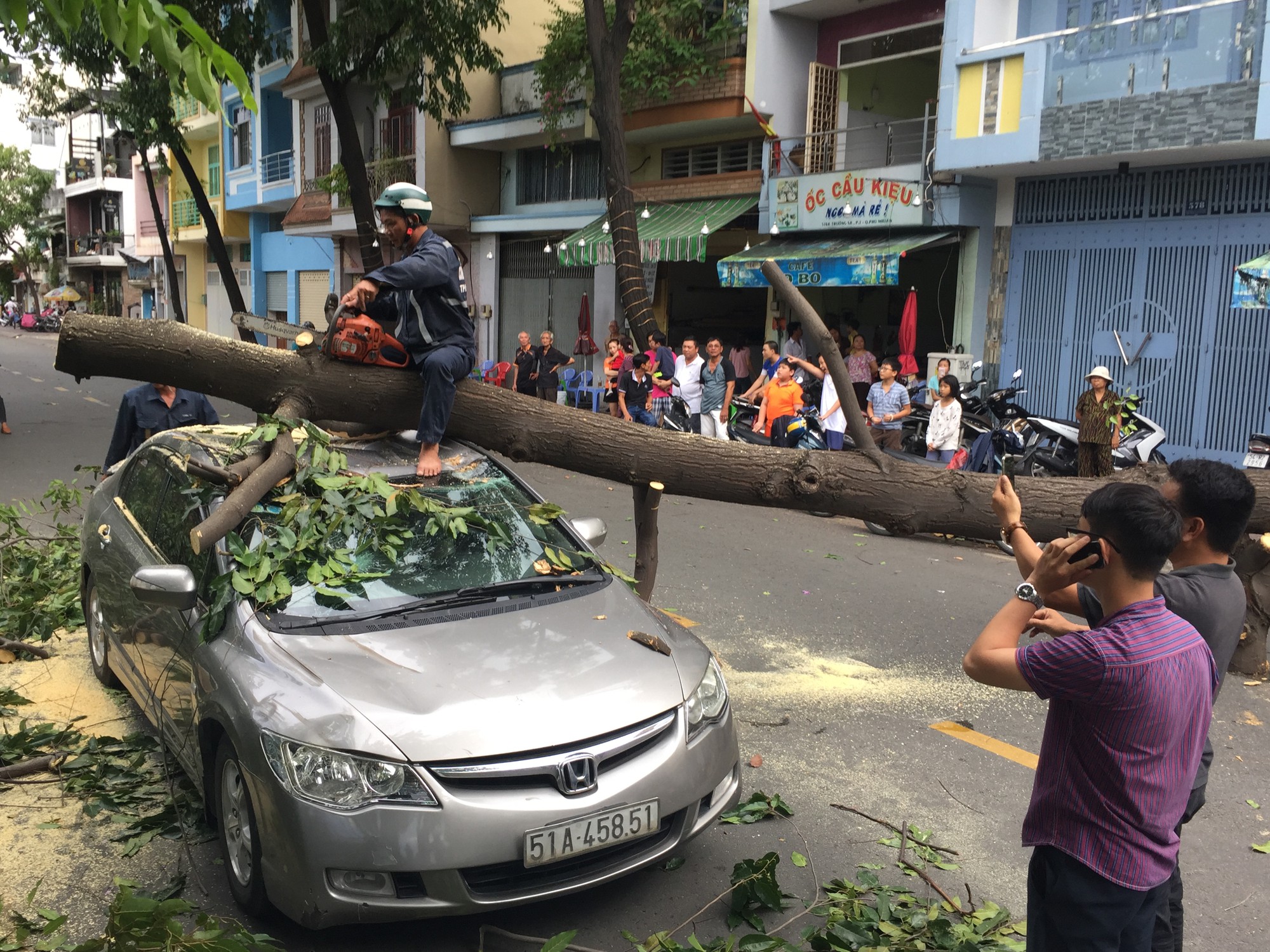 Lốc xoáy nhiều nơi ở Sài Gòn, cây xanh ngã rạp, 3 người trọng thương - Ảnh 6.