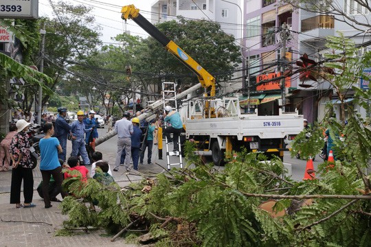 Lốc xoáy nhiều nơi ở Sài Gòn, cây xanh ngã rạp, 3 người trọng thương - Ảnh 12.