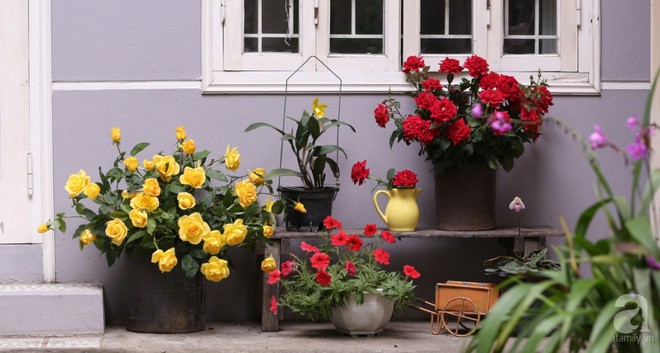 Ngôi nhà góc nào cũng xinh xắn của một phụ nữ Hà Thành - Ảnh 3. Ngôi nhà góc nào cũng xinh xắn của một phụ nữ Hà Thành - Ảnh 3.