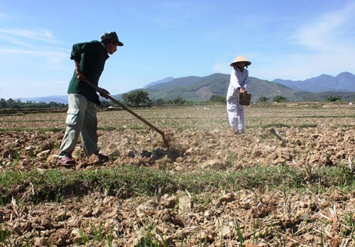 Quay cuồng trong nắng nóng - Ảnh 2.